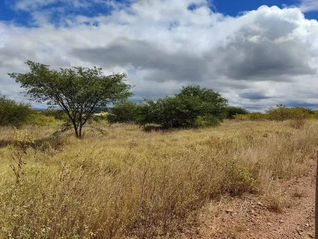 Imagem 3: Vendo Terreno para Chácara Próximo a Serra Talhada