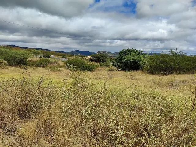 Imagem 10: Vendo Terreno para Chácara Próximo a Serra Talhada