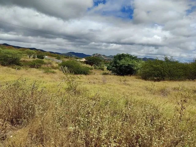 Imagem 2: Vendo Terreno para Chácara Próximo a Serra Talhada