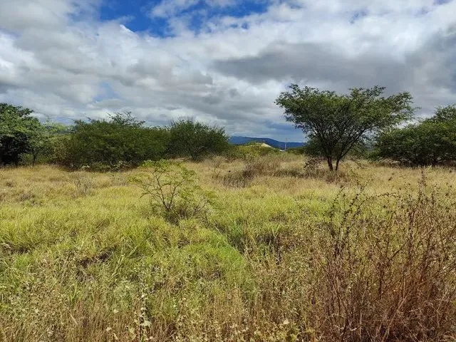 Imagem 8: Vendo Terreno para Chácara Próximo a Serra Talhada