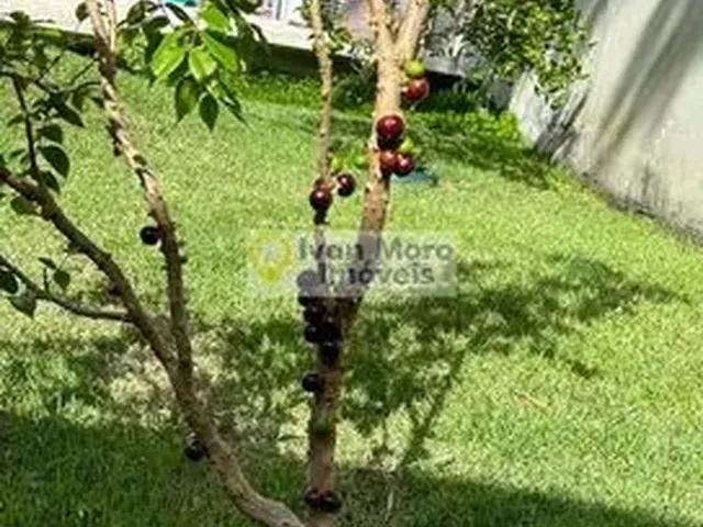 Imagem 16: Casa À Venda em Daniela - Florianópolis - Sc
