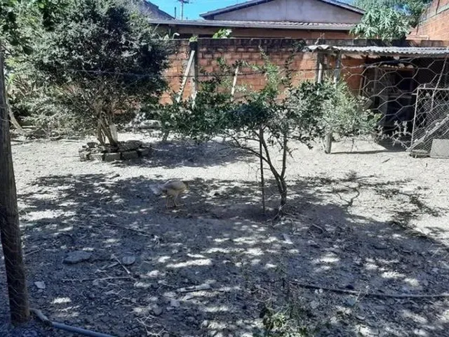 Imagem 2: Casa Apta para Parcelamento