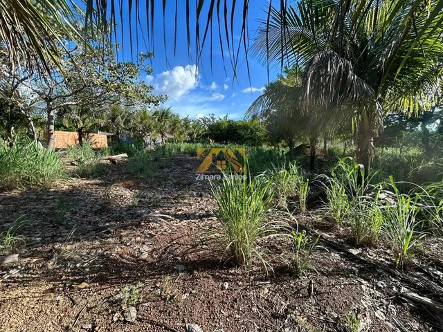 Imagem 8: Chácara com 1 Quarto à Venda, Área Rural de Palmas - Palmas