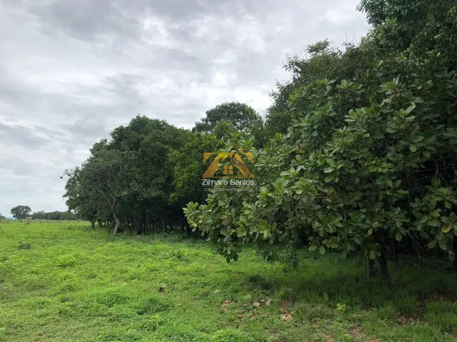 Imagem 12: Chácara com 1 Quarto à Venda, Setor Central - Silvanópolis
