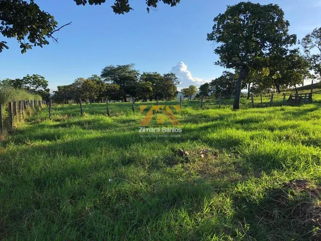 Imagem 11: Fazenda com 1 Quarto à Venda, Setor Central - Monte do Carmo
