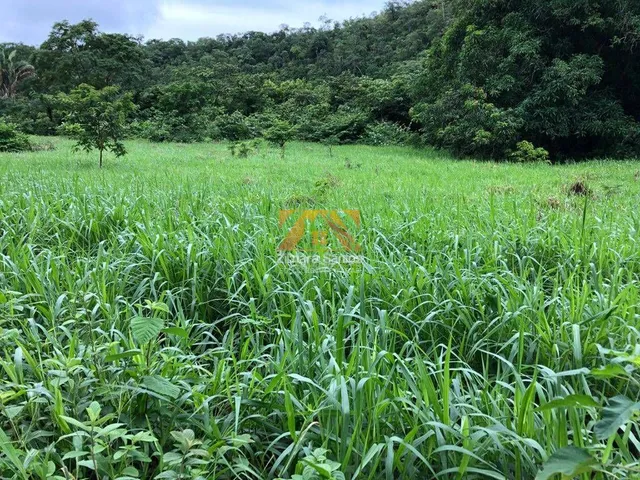 Imagem 12: Fazenda com 1 Quarto à Venda, Setor Central - Monte do Carmo