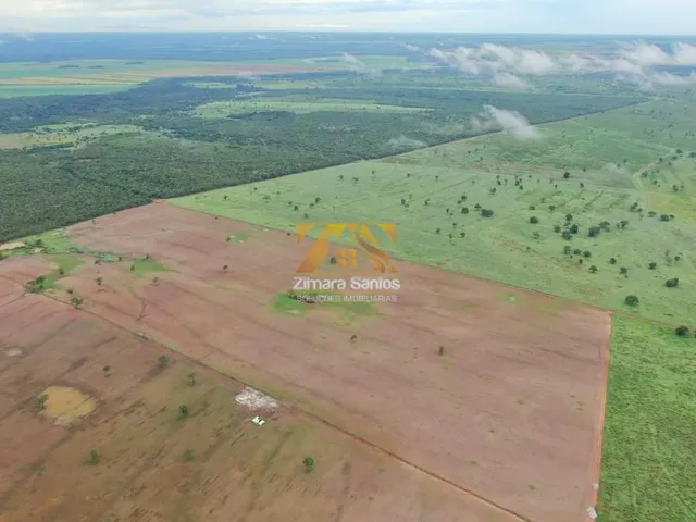Imagem 8: Fazenda com 1 Quarto à Venda, Setor Central - Pium