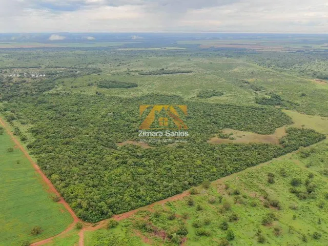 Imagem 5: Fazenda com 1 Quarto à Venda, Setor Central - Pium