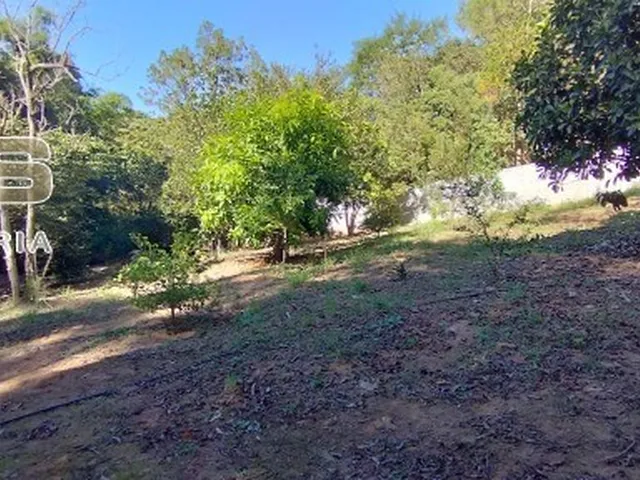 Imagem 8: Terreno a venda no Condomínio Horto Ivan, 4320m² com topografia excelente e ótimo