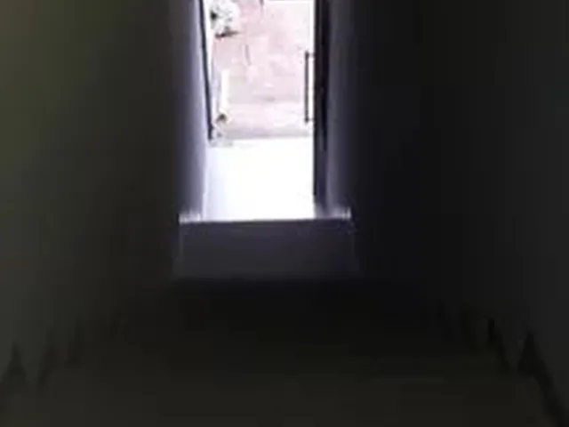 Imagem: Tenho para Alugar,Sala Comercial Piso Superior