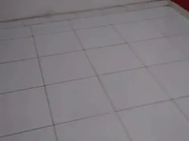 Imagem 16: Casa no Nova Esperança / Lago Azul