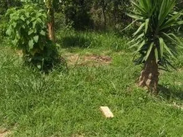 Imagem 11: Chácara com 2 Dormitórios À Venda, 3 M²- Jardim Camargo (Canguera) - São Roque/Sp