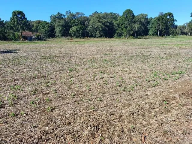 Imagem: Venda de Sitio