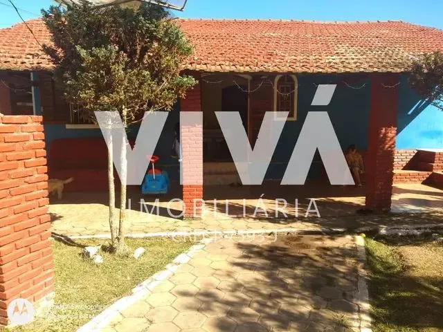 Imagem 6: Chácara À Venda, Itapeva, Itapeva - Mg