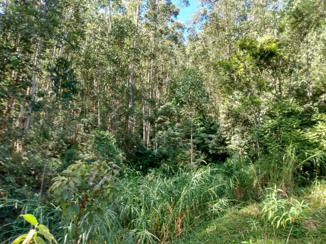 Imagem: Area Rural em santa Branca - Sp, Serrote