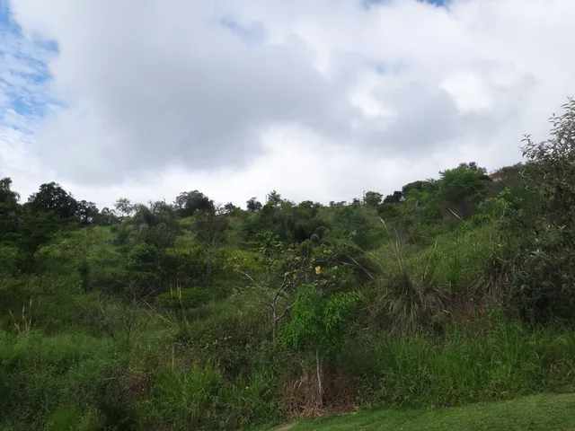 Imagem: Terreno Residencial em Guararema - Sp, Nogueira