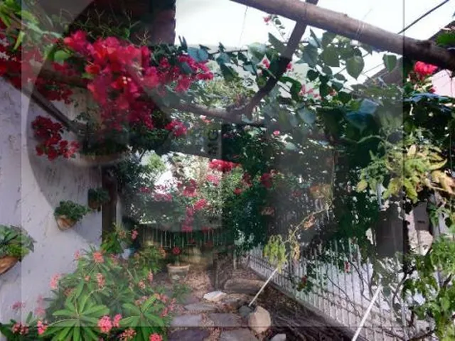 Imagem 8: Casa no C3 Iguaçu