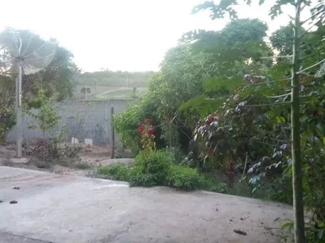 Imagem 16: Alugo Chácara em Uniao dos Palmares