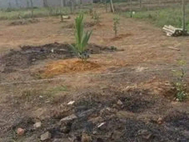 Imagem: Lote Ao Lado do Linhares Bich Estrada do
