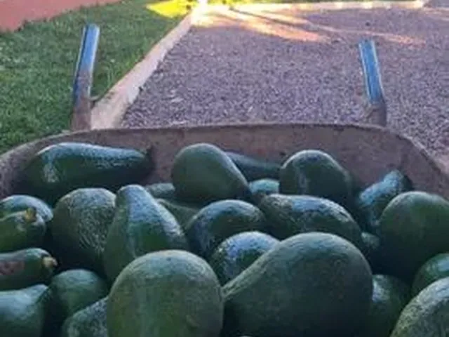 Imagem 9: Troco Ou Vendo Chácara com Casa Nova na Laje