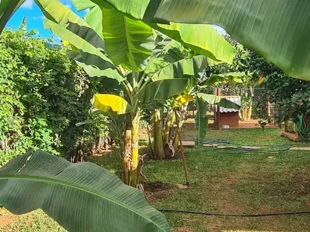 Imagem 8: Troco Ou Vendo Chácara com Casa Nova na Laje