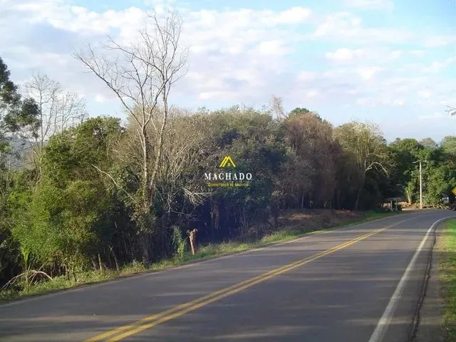 Imagem: Área de Terras em Ivoti Ref 210209