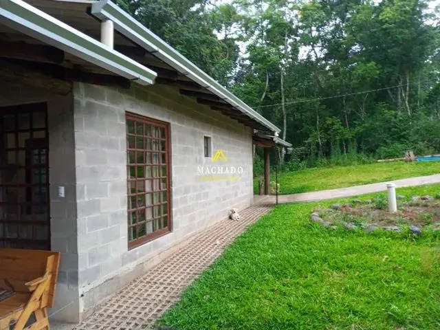 Imagem: Chácara de 1 Hectare Ref 210838
