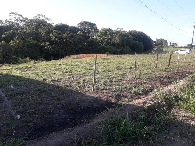 Imagem: Vendo Terrro em Aldeia 50X25