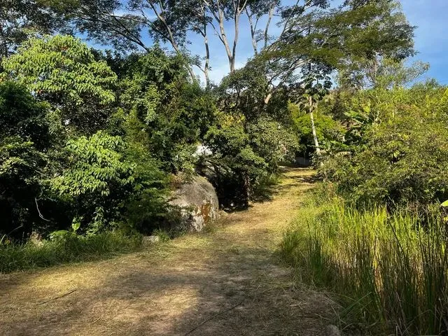 Imagem 1: Chácara em São Roque