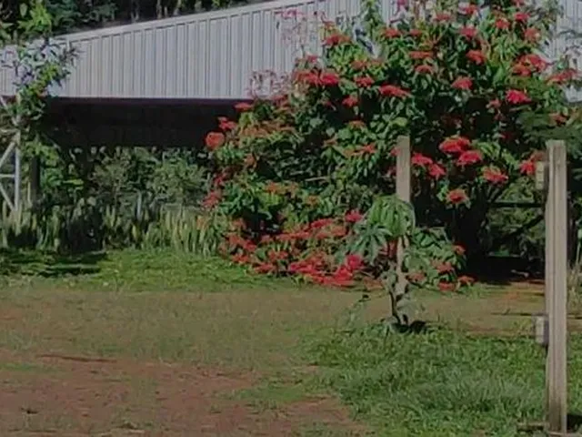 Imagem: Chácara para Alugar