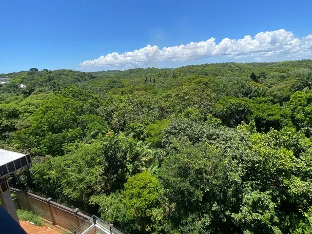 Imagem 8: 0 Casa com 4 dormitórios