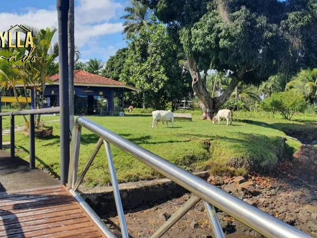 Imagem 8: Fazenda Rural para Venda São Roque do Paraguaçu, Maragogipe
