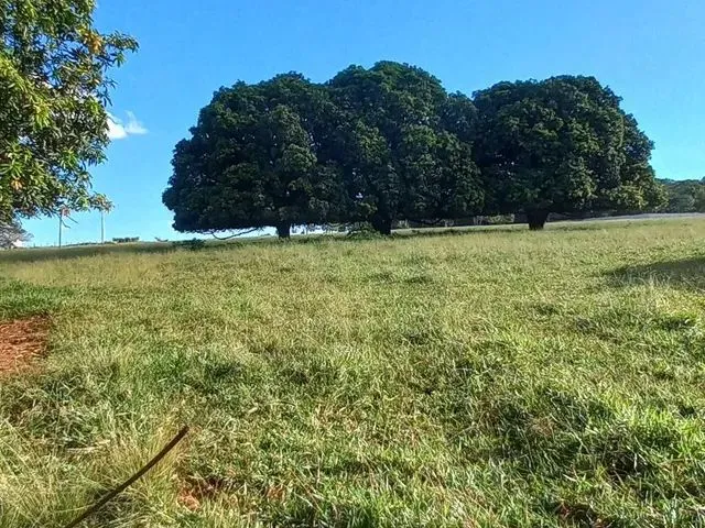 Imagem: 2,5 Alqueires as Margens da Go-070 Próximo