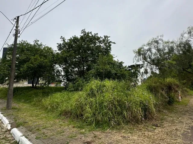 Imagem 3: Terreno À Venda e Locação - Bairro Centro