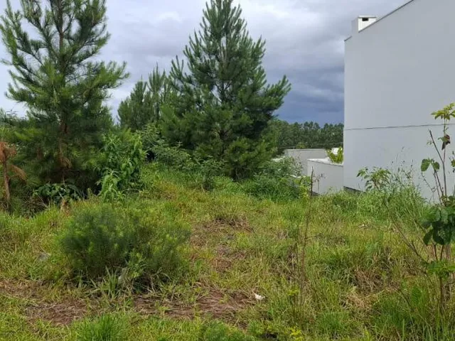 Imagem: Terreno para Locação - Bairro São Jacó