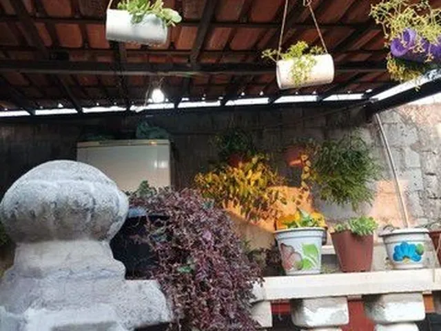 Imagem: Vendo Casa em Vitória Santo Antônio