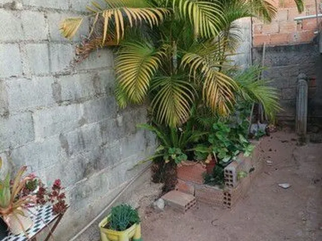 Imagem 5: Vendo Casa em Vitória Santo Antônio