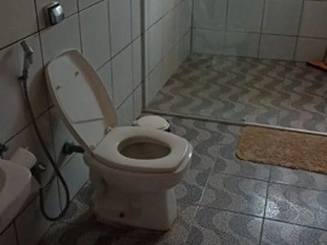 Imagem 12: Casa na Granja Modelo Riacho Fundo 1