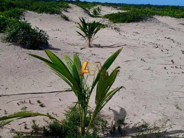 Imagem 1: Terreno à venda no bairro Centro - Maraú/BA