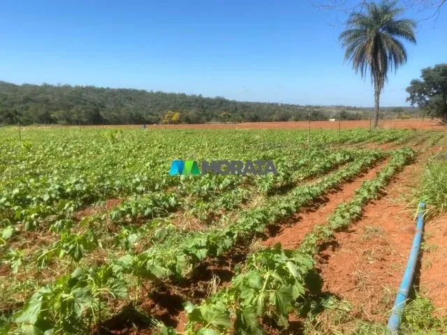 Imagem: Cordisburgo - Fazenda - Zona Rural