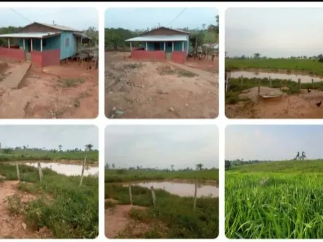 Imagem: A fazenda está localizado em Rio Branco, AC à venda por