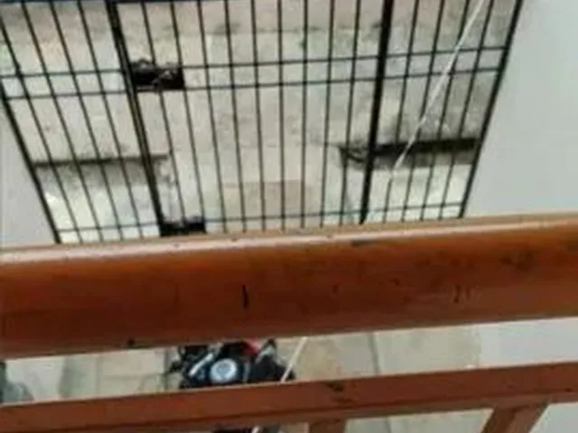 Imagem 3: Apartamento Quitado no Judite Nunes