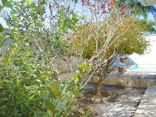Imagem 9: Casa com Piscina Alto Padrão