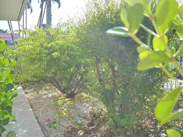 Imagem 5: Casa com Piscina Alto Padrão