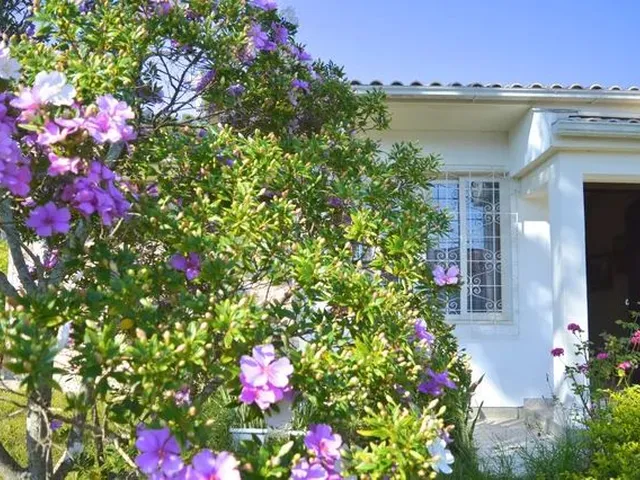 Imagem 10: Casa com Piscina Alto Padrão