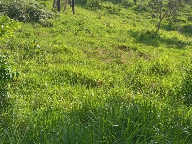 Imagem: FAZENDA - Município de São Félix do Xingú