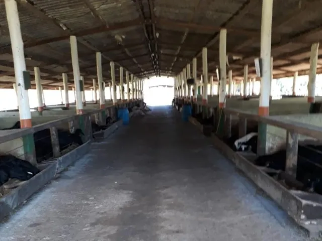 Imagem 6: Vende Se Fazenda Itapetininga Sp