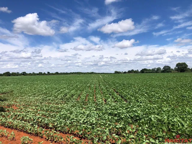 Imagem 2: FAZENDA RURAL em UBERABA - MG, CENTRO
