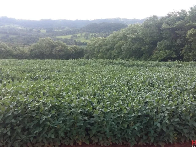 Imagem: Fazenda Rural em Pedregulho - Sp, Rural