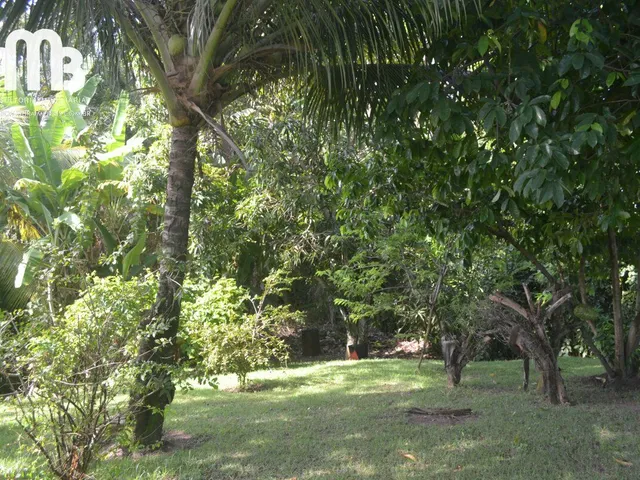 Imagem 13: Casa Alto Padrão em BURAQUINHO, Lauro de Freitas/BA